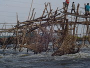 Fishing method of Wagenya people in Congo.