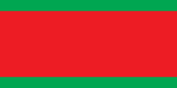 President Lukashenko's proposed design for the flag