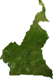 Satellite image of Cameroon, generated from raster graphics data supplied by The Map Library