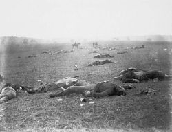 Union dead at Gettysburg, photographed by Timothy H. O'Sullivan, July 5–6, 1863.