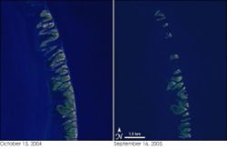 The Chandeleur Islands, before Katrina (left) and after (right), showing the impact of the storm along coastal areas.