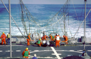 Crewmen recover an RQ-2 Pioneer Unmanned Aerial Vehicle aboard USS Iowa. Pioneer drones launched from the Iowa-class battleships were steered into a large net on the ships, where they were recovered by the crew.