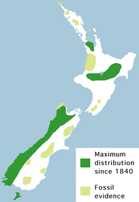 Historic distribution of the Kakapo.