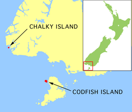 Since 2003, Kakapo have been kept on Chalky and Codfish Islands in the South of New Zealand. Kakapo are moved between the islands to take advantage of optimum breeding conditions.