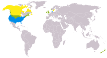 Branta canadensis Canada Goose distribution: yellow:summer; blue:winter; green:year-round