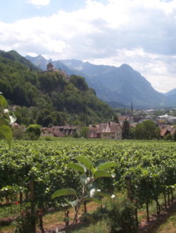 The Prince of Liechtenstein owns vineyards in Vaduz (in the foreground).