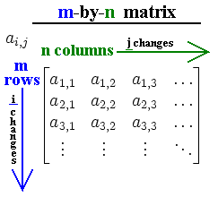 Organization of a matrix