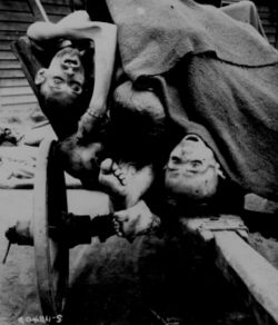 Some of the bodies being removed by German civilians for decent burial at Gusen concentration camp after its liberation