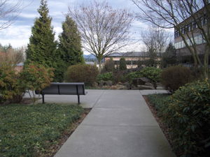 Photo of Microsoft's RedWest campus.