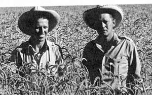 Norman Borlaug and George Harrar, 1943