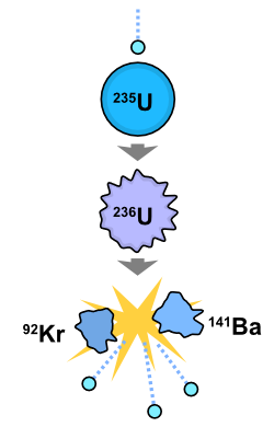 An induced nuclear fission event. A thermal (slow-moving) neutron is absorbed by the nucleus of a uranium-235 atom, which in turn splits into fast-moving lighter elements (fission products) and free neutrons.  The particular elements and number of neutrons produced by each single fission event are random.
