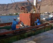 Fishermen in Cape Verde