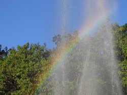 Rainbows may also appear in the spray of a water fountain