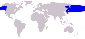 Range of the Pacific Northern Right Whale, Eubalaena japonica.