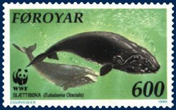 An Atlantic Northern Right Whale on a Faroese stamp