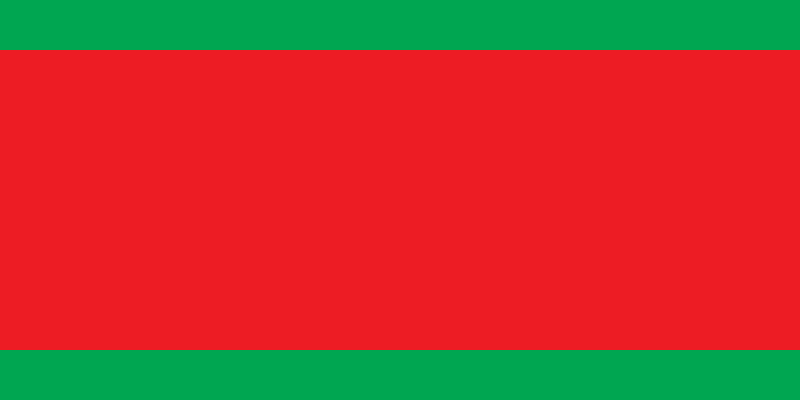 Image:Lukashenko flag idea 1995.svg