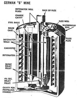 Image:smine-diagram.jpg