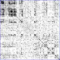 A DNA dot plot of a human zinc finger transcription factor (GenBank ID NM_002383), showing regional self-similarity. The main diagonal represents the sequence's alignment with itself; lines off the main diagonal represent similar or repetitive patterns within the sequence. This is a typical example of a recurrence plot.