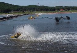 Shrimp pond with paddlewheel aerators.