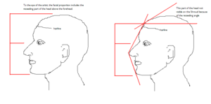 Facial proportions based on the visual formula and the projected linear formula. TTaylor 2006