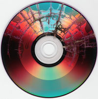 DVD irradiated for a shorter amount of time, showing how fractal branching occurs.