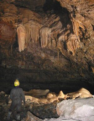 Speleothems in Hall of the Mountain Kings, Ogof Craig a Ffynnon, South Wales.
