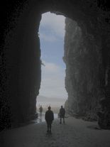 The Cathedral Caves are one of the Catlins' most popular tourist attractions.