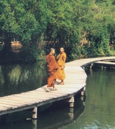 Buddhist clergy, such as these monks in Thailand, often donned saffron-hued robes. Traditionally, these were coloured using saffron-based dyes.