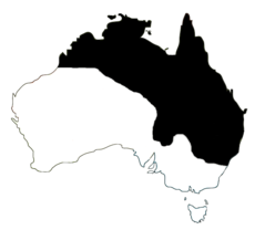 Distribution of Litoria caerulea (in  black) on the Australian continent.