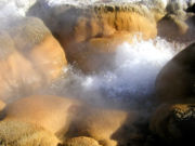 Boiling pool at Biscuit Basin.
