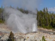 Steamboat Geyser: The world's tallest active geyser, Eruptions can reach as high as 300 feet (90 m).
