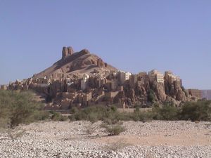 The town of Hajarin, which features some of the oldest "skyscrapers" in the world - six story buildings made of mud bricks and mortar.