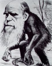 A satirical image of Charles Darwin as an ape from 1871 reflects part of the social controversy over whether humans and apes share a common lineage.