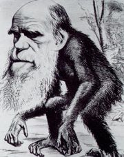 A typical satire was the later caricature in Hornet magazine portraying Darwin with an ape body and the bushy beard he grew in 1866.