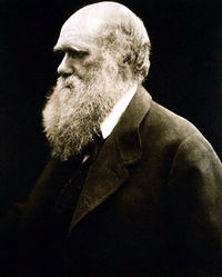 Julia Margaret Cameron's portrait of Darwin.