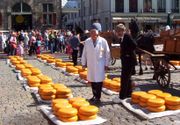 A Gouda cheese market