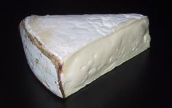 Vacherin du Haut-Doubs cheese, a French cheese with a white Penicillium mold rind.