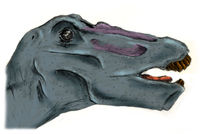 Apatosaurus' correct head