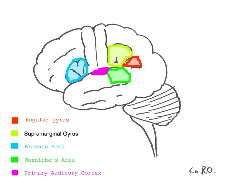 Image:Surfacegyri.jpg