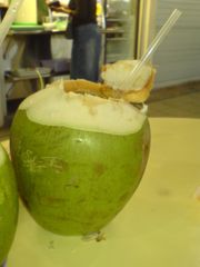 A relatively young coconut which has been served in a hawker centre in Singapore with a straw with which to drink its water.