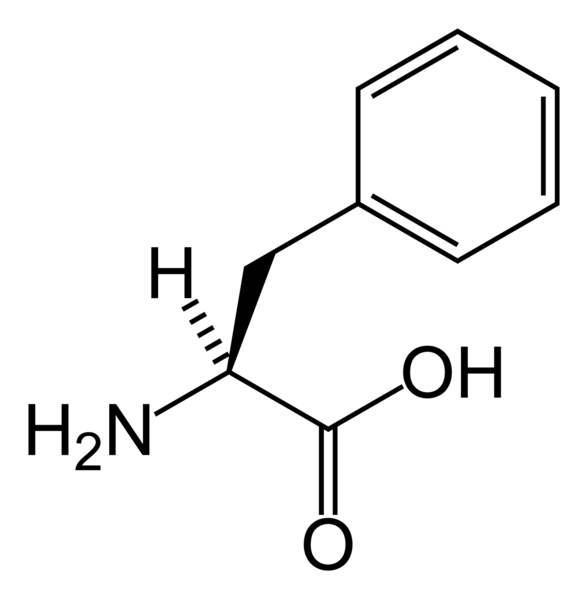 Image:L-phenylalanine-skeletal.png