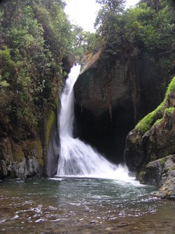 On the Río Savegre, just below San Gerardo de Dota in the Talamanca Mountains of Costa Rica.