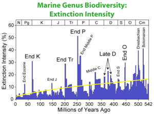 The KT extinction event, labeled here as "End K", is shown in comparison to the impact of other events on the extinction intensity for marine fossilerferous genera.