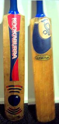 A Cricket bat, back and front sides