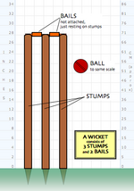 A wicket consists of three stumps, upright wooden stakes that are hammered into the ground, topped with two wooden crosspieces, known as the bails.