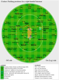 The standard fielding positions in cricket for a right-handed batsman; the positions are reversed for a left-handed batsman. The spots are only indicative, as fielders may stand in any part of the ground. Only nine fielders are available in addition to the bowler and wicketkeeper, so there are always many unprotected areas.