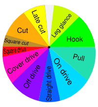 The directions in which a right-handed batsman intends to send the ball when playing various cricketing shots.