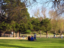 The spring and fall seasons are pleasant in Dallas, as seen in this March photograph from an Oak Cliff park