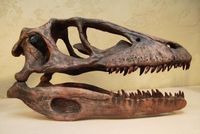 Deinonychus, Wiki