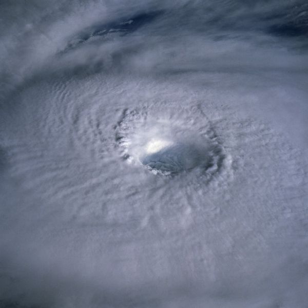 Image:Typhoon Odessa 1985.jpg